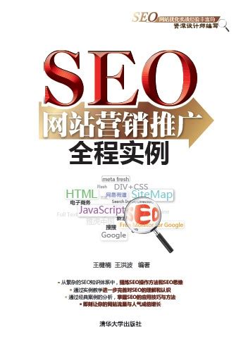 seo营销推广全程实例分享