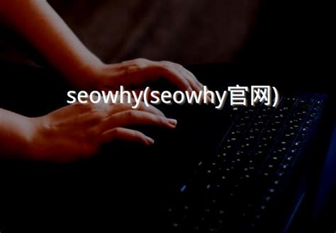 seowhy官网