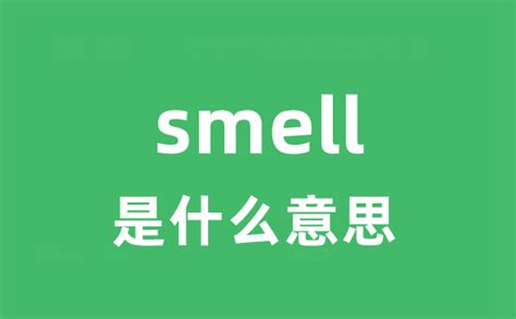 smell是什么意思
