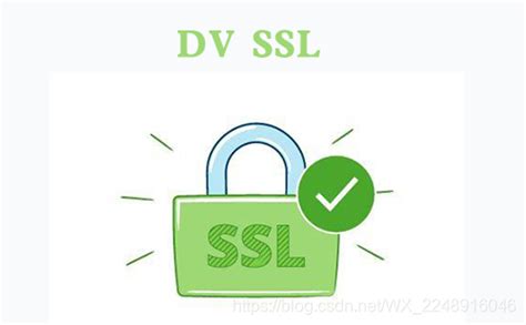ssl证书哪个公司的比较好