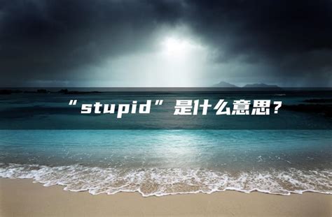 stupid是什么意思中文