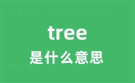 trees是什么意思
