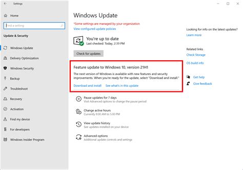 windows update选项
